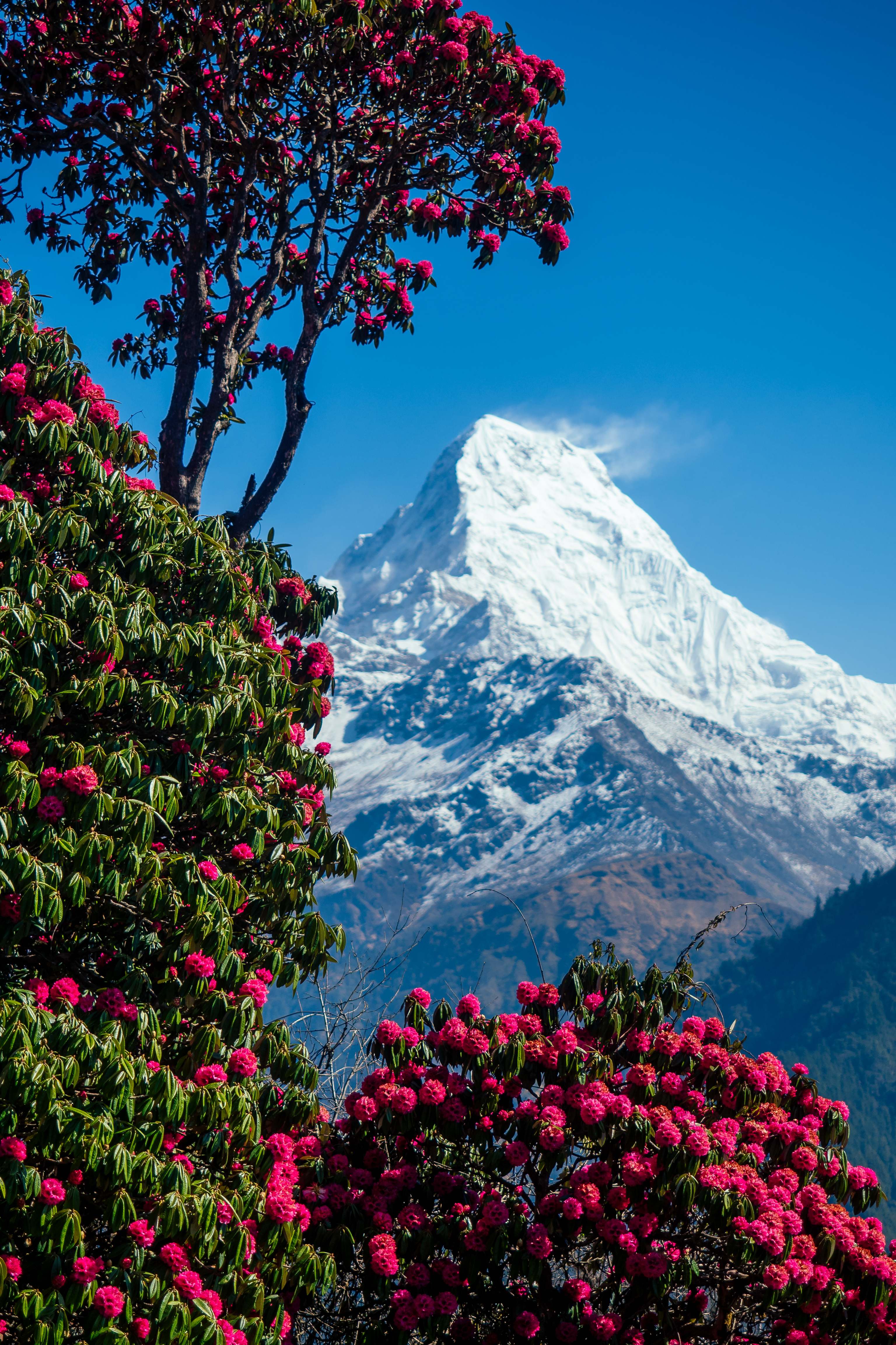 The teahouse revolution: solar power reaches Manaslu