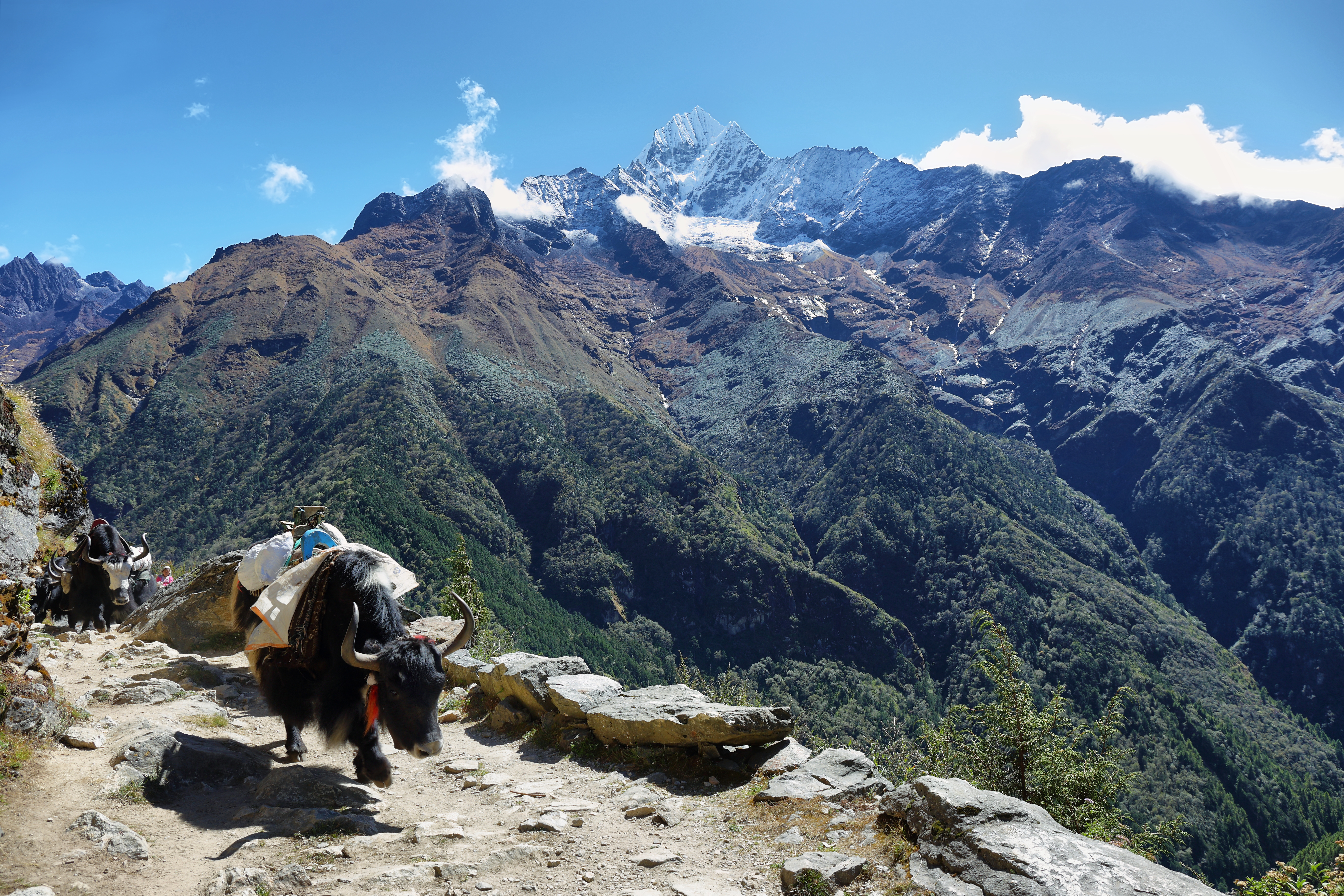 Mardi Himal Trek