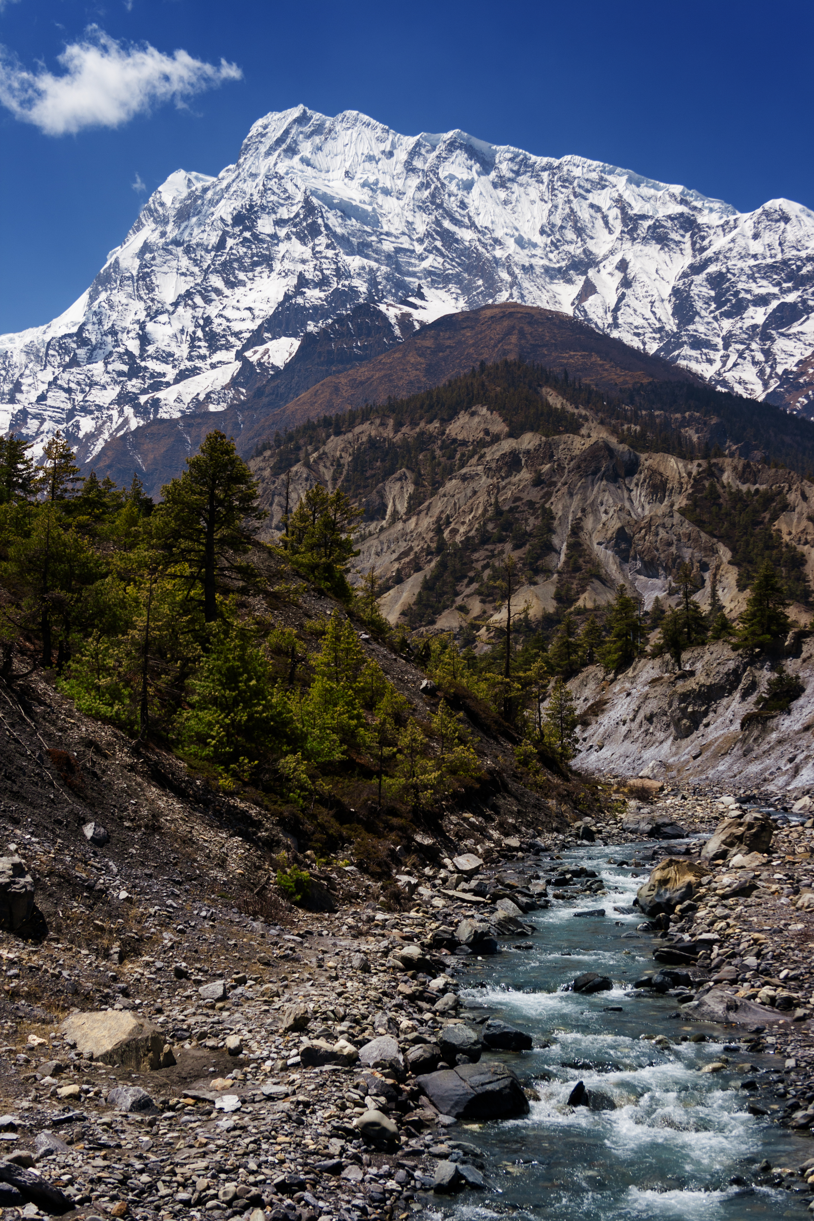 Langtang Valley Trek